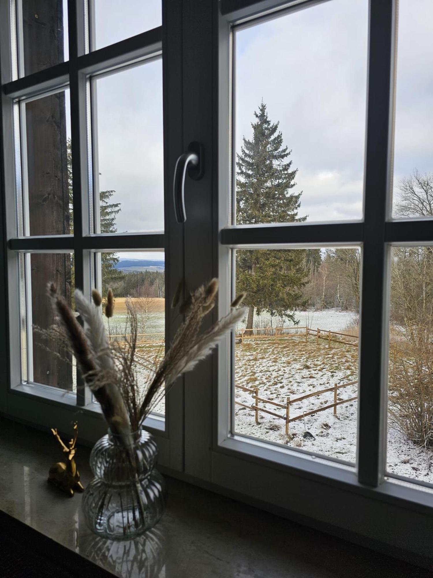 Marktredwitzer Haus Waldershof Eksteriør billede